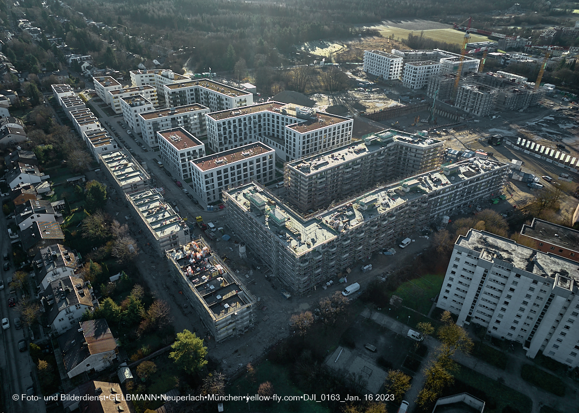 16.01.2023 - Alexisquartier und Pandion Verde